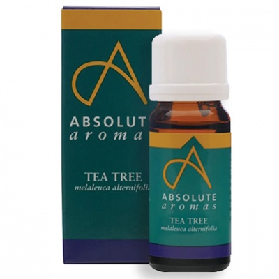 Absolute Aromas Tea Tree 10ml